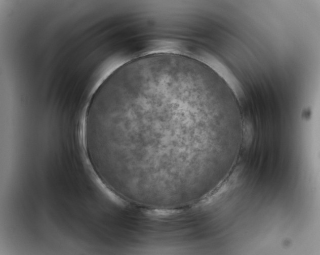 X0000102771290200808251043