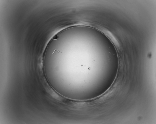 X0000102771292200808251043