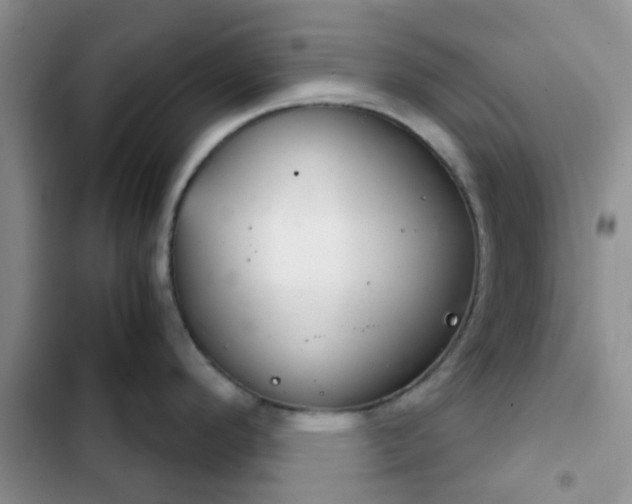 X0000102771296200808251043