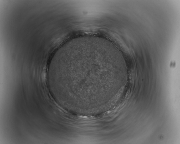 X0000102771298200808251042