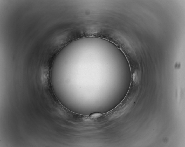 X0000102771299200808251042