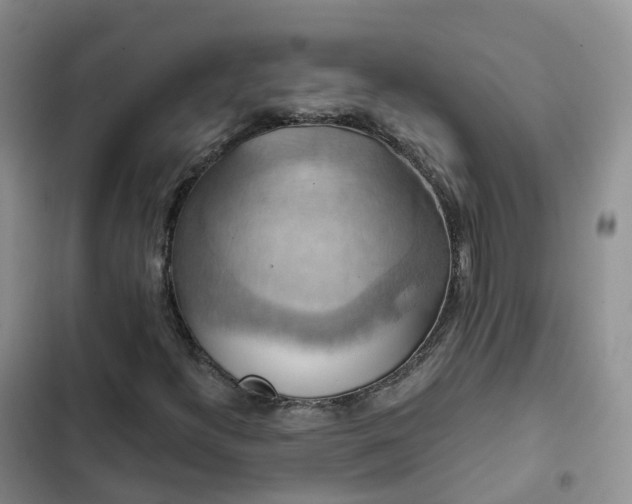 X0000102771300200808251042