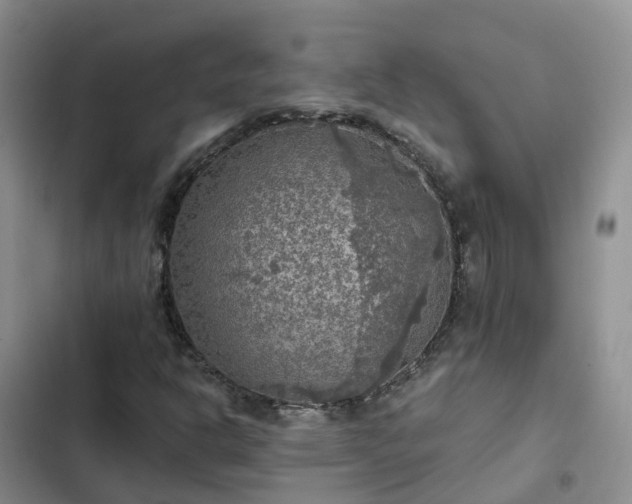 X0000102771302200808251042