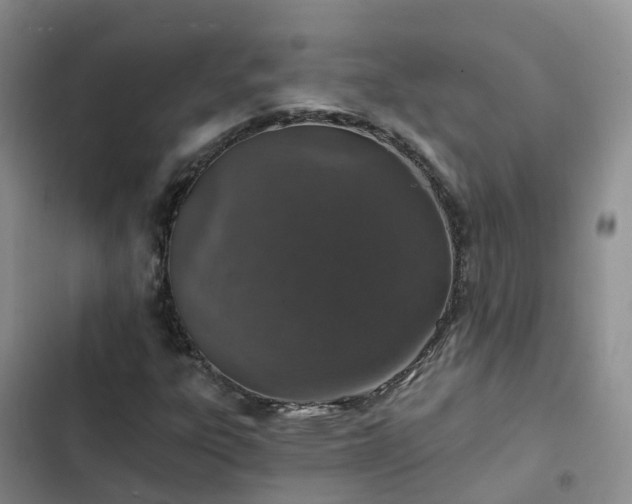 X0000102771303200808251042