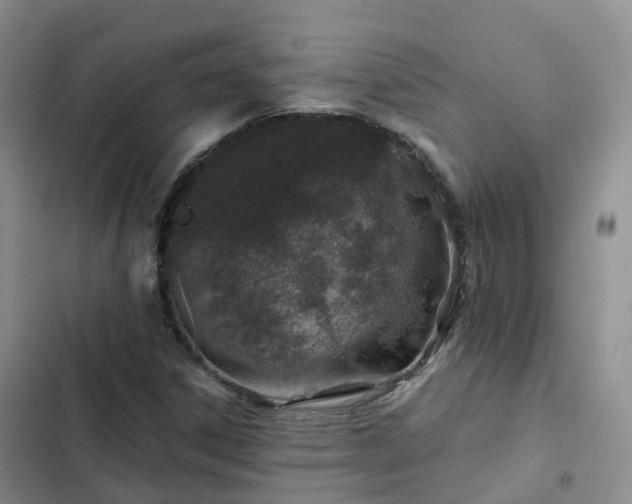 X0000102771306200808251042