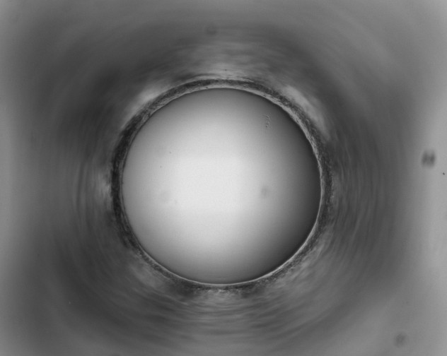 X0000102771307200808251042