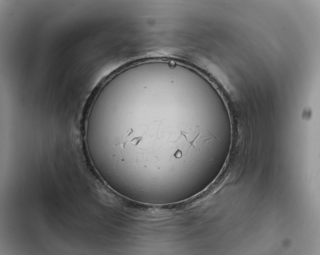 X0000102771308200808251042