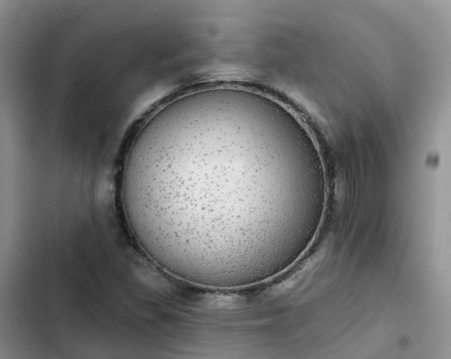 X0000102771309200808251042