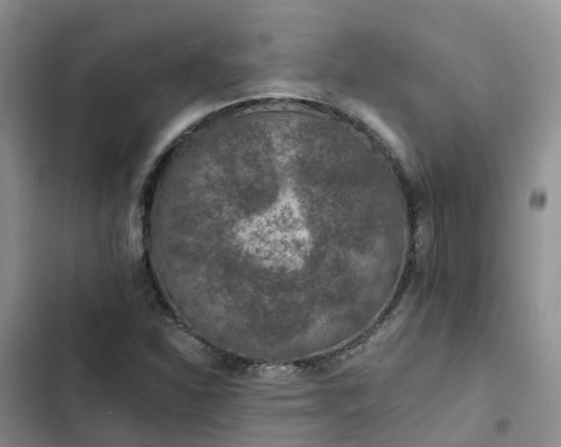 X0000102771310200808251042