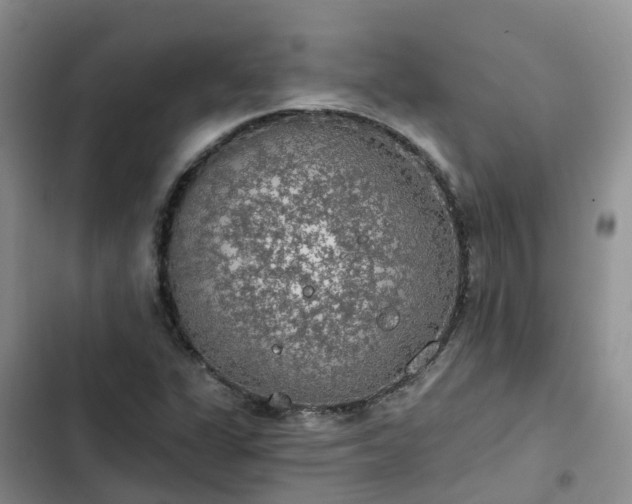 X0000102771311200808251042