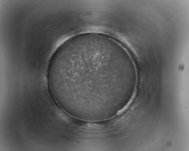 X0000102771312200808251042