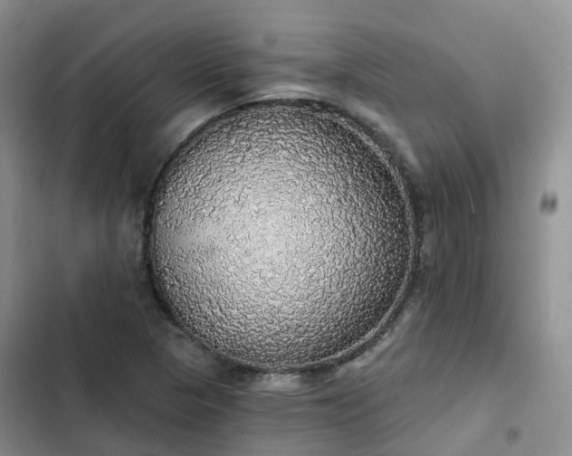 X0000102771313200808251042