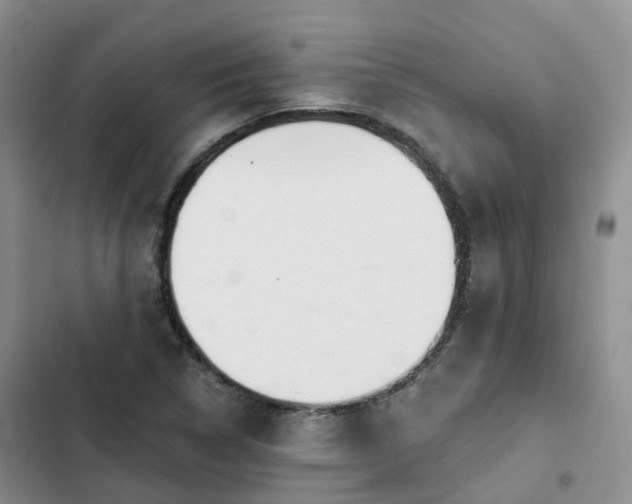 X0000102771314200808251042