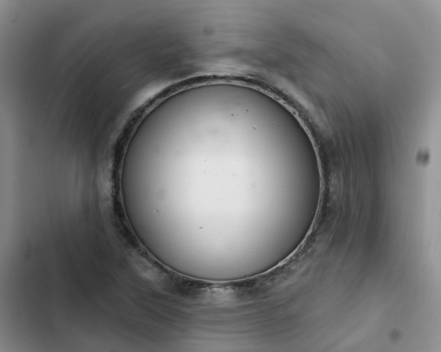 X0000102771315200808251042