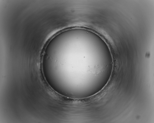 X0000102771316200808251042