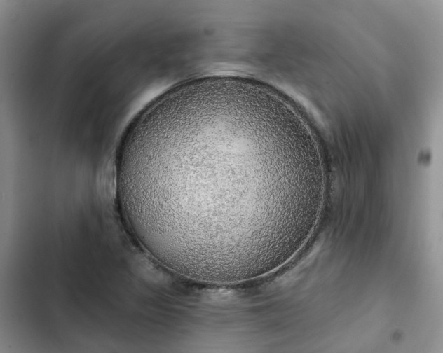 X0000102771317200808251042