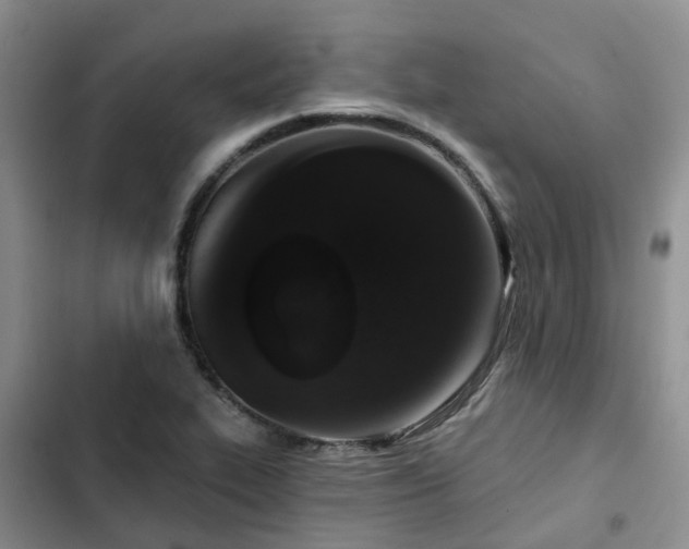 X0000102771319200808251042