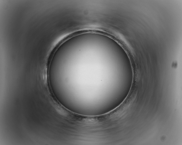 X0000102771320200808251042