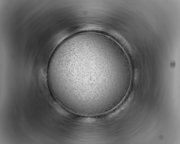 X0000102771321200808251042