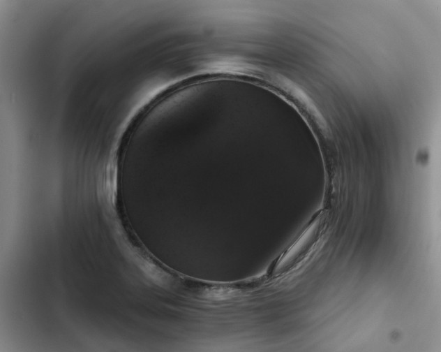 X0000102771323200808251043