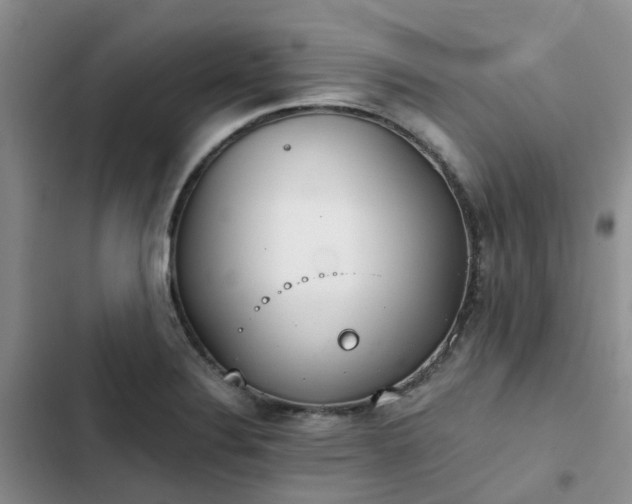 X0000102771324200808251043