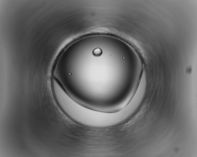 X0000102771326200808251043