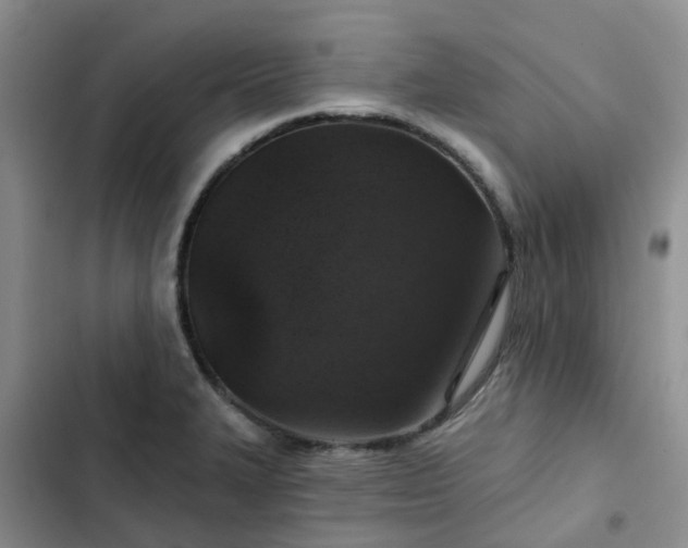 X0000102771327200808251043