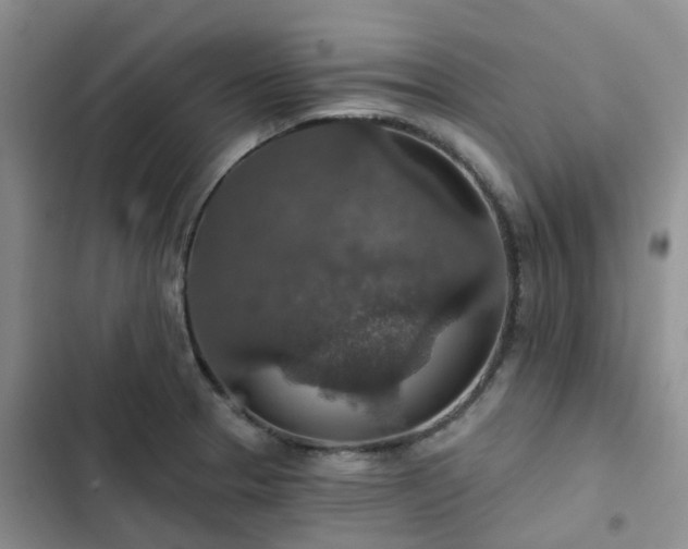 X0000102771329200808251043