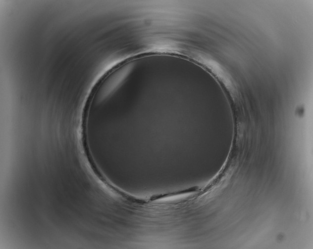 X0000102771331200808251043