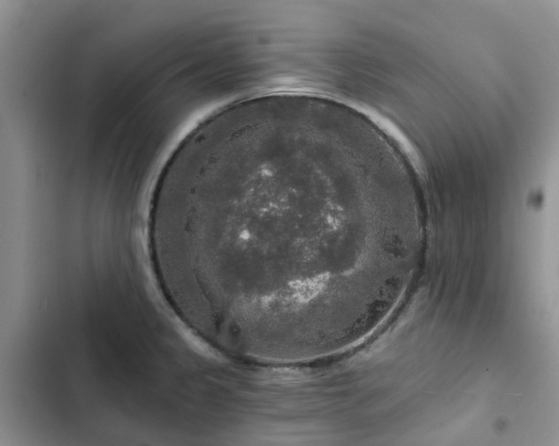 X0000102771333200808251043