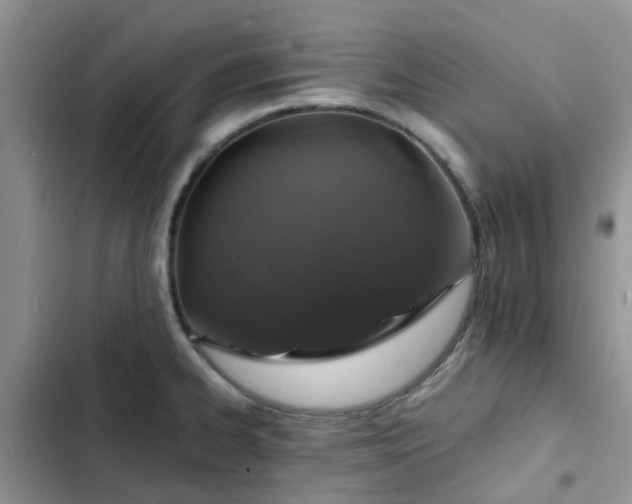 X0000102771334200808251043