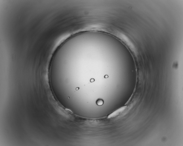 X0000102771336200808251043