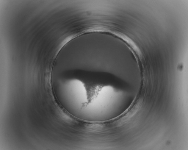 X0000102771337200808251043