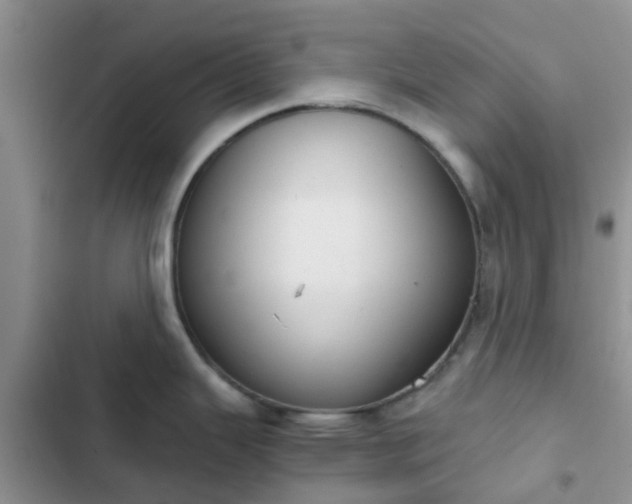 X0000102771343200808251043