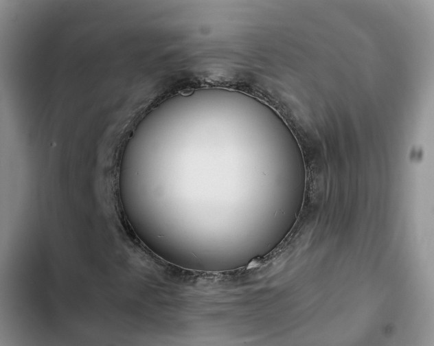 X0000102771345200808251042