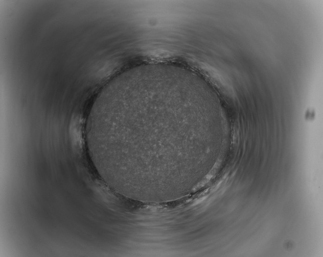 X0000102771346200808251042