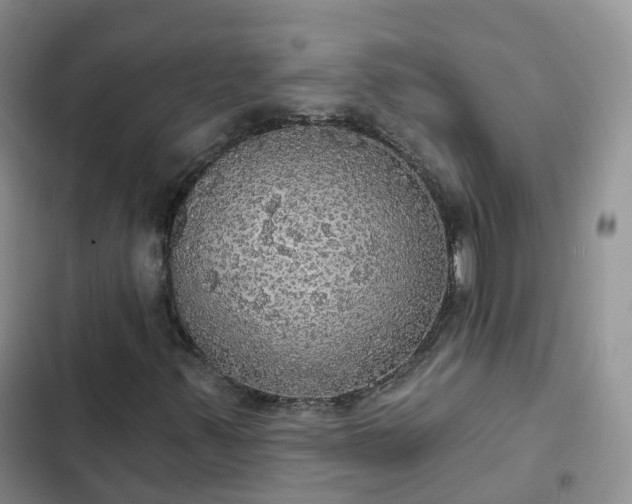 X0000102771347200808251042