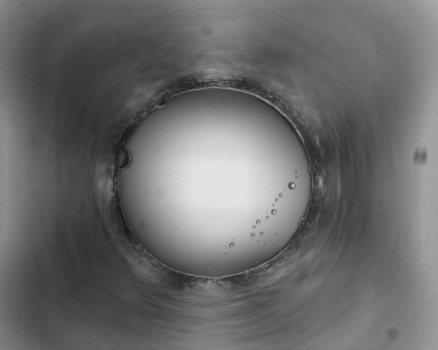 X0000102771348200808251042