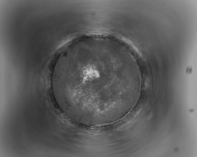 X0000102771350200808251042