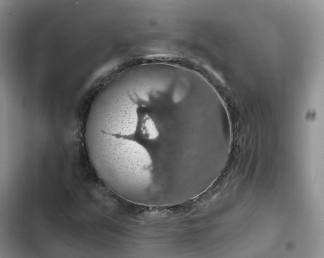 X0000102771351200808251042