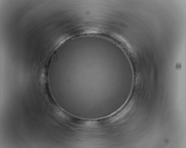 X0000102771353200808251042