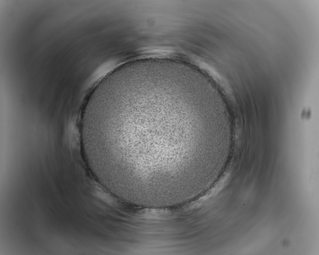 X0000102771354200808251042