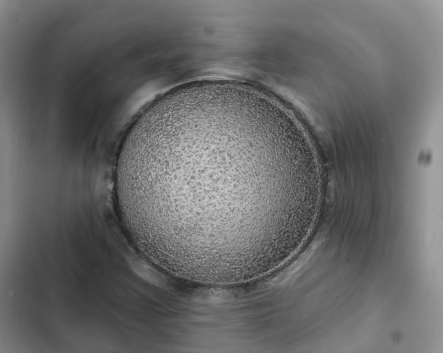 X0000102771355200808251042