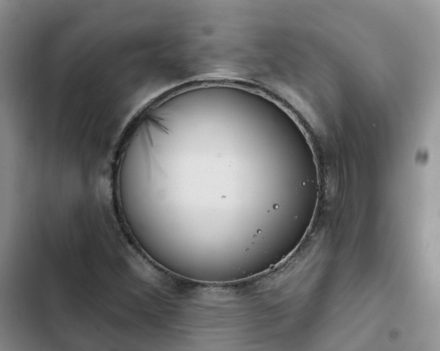 X0000102771356200808251042