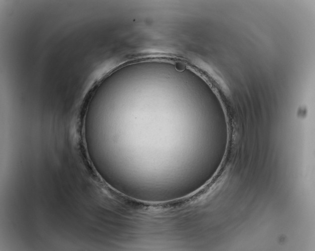 X0000102771357200808251042