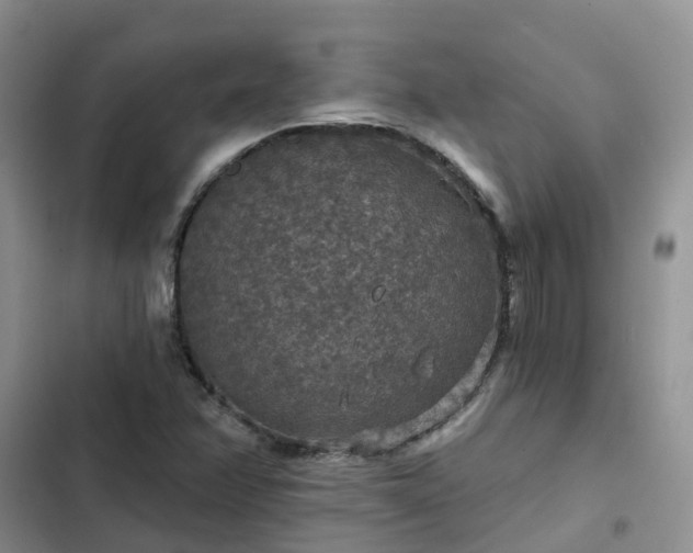 X0000102771358200808251042