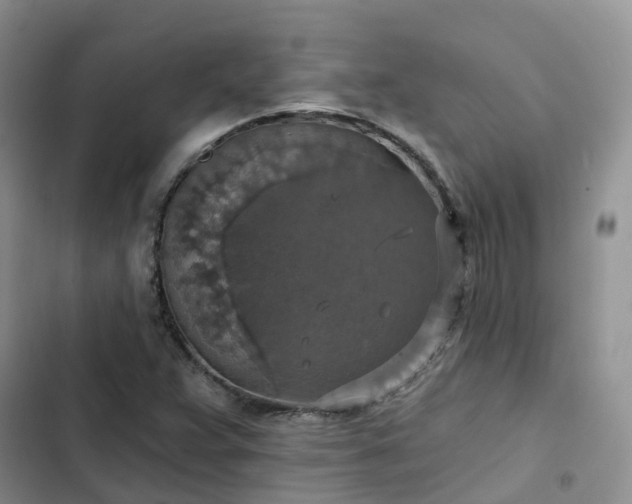 X0000102771359200808251042