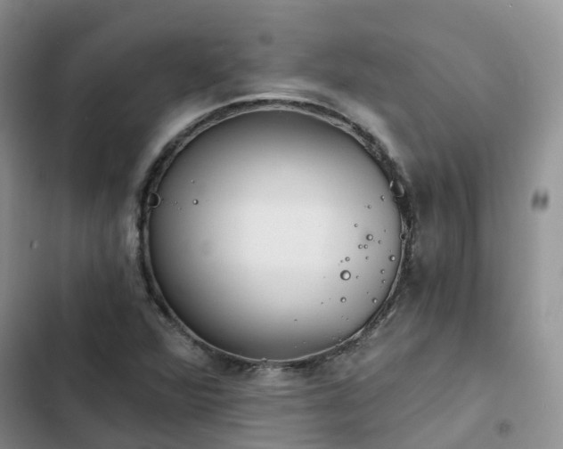 X0000102771360200808251042