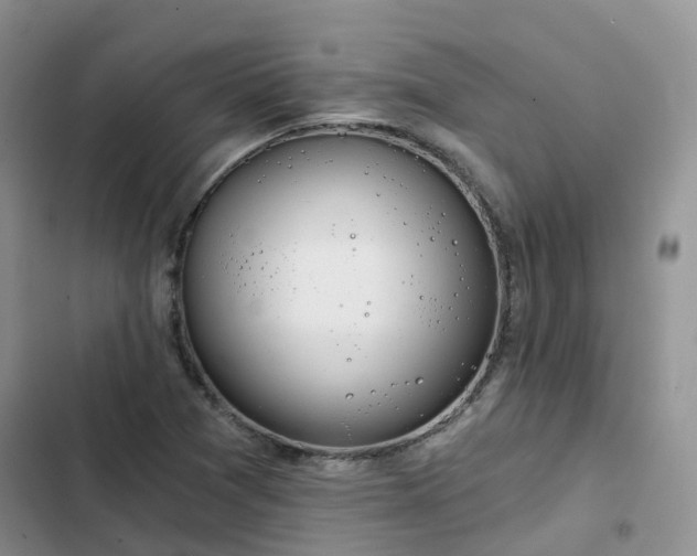 X0000102771361200808251042