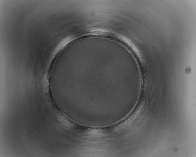 X0000102771362200808251042